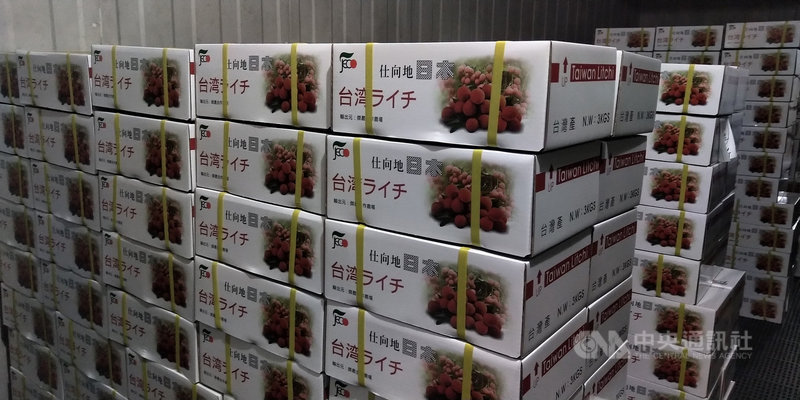 行政院農委會動植物防疫檢疫局統計,台灣今年夏季作業期(4月29日到7月30日),檢疫完成合格可輸銷日本的荔枝鮮果達177公噸,創15年來新高。(防檢局提供)中央社記者楊淑閔傳真 109年7月31日