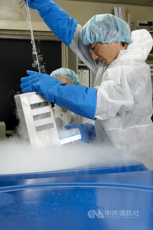 國家實驗鼠種原庫保存珍貴的實驗動物資源,圖為工作人員準備把存放受精卵的凍管放入保存盒,透過降溫程序,放進低溫液態氮桶保存。團隊必須留意降溫過程中,避免冰晶對細胞造成傷害。(國研院動物中心提供)中央社記者蘇思云傳真 109年8月1日