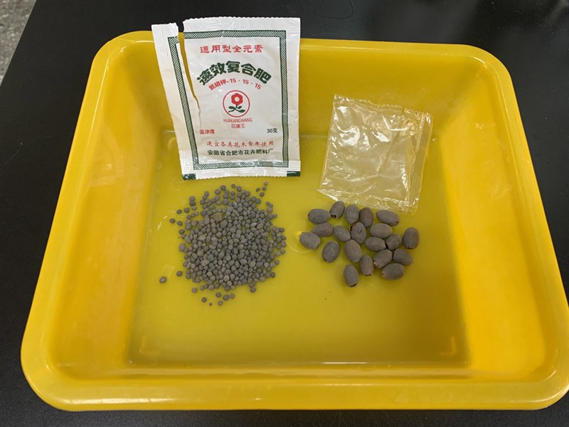 農委會防檢局統計,從7月28日至8月3日,已接獲民眾通報收到自中國寄送附贈的種子等貨品累計9件。防檢局重申,將持續與關務署合作,強化國外輸入快遞包裹的查驗。圖右為其中的蓮花種子。(防檢局提供)中央社記者楊淑閔傳真 109年8月3日