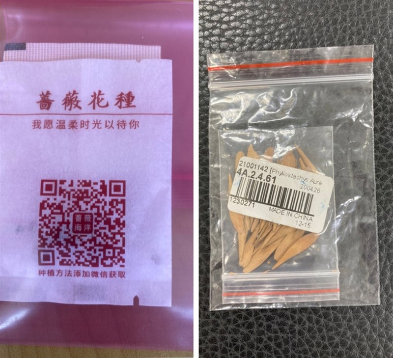 農委會防檢局統計,接獲民眾通報收到自中國寄送附贈的種子等貨品,從7月28日至8月3日已累計9件。圖左為其中的薔薇種子,圖右為羅漢竹種子。(防檢局提供)中央社記者楊淑閔傳真 109年8月3日