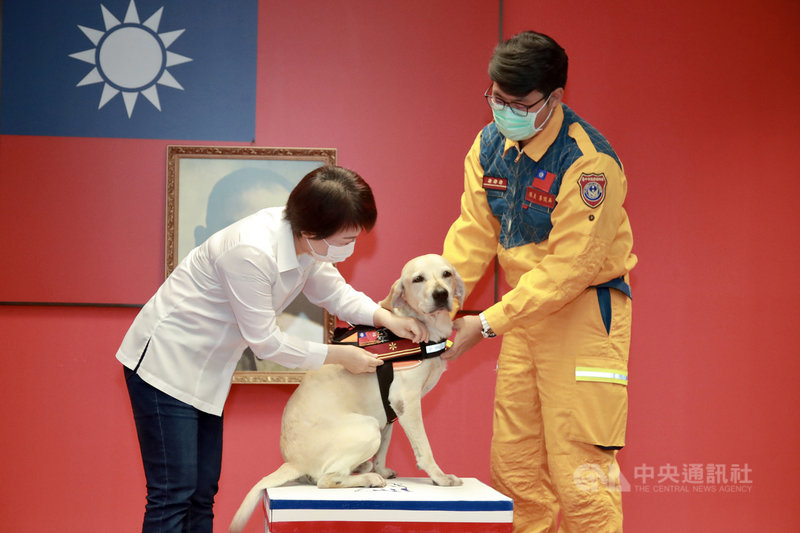 台中市消防局搜救犬「鐵雄」在亞洲區搜救犬隊國際任務測驗(MRT)通過複試,台中市長盧秀燕(左)4日在市政會議中公開授階2線1星。(台中市政府提供)中央社記者郝雪卿傳真 109年8月4日