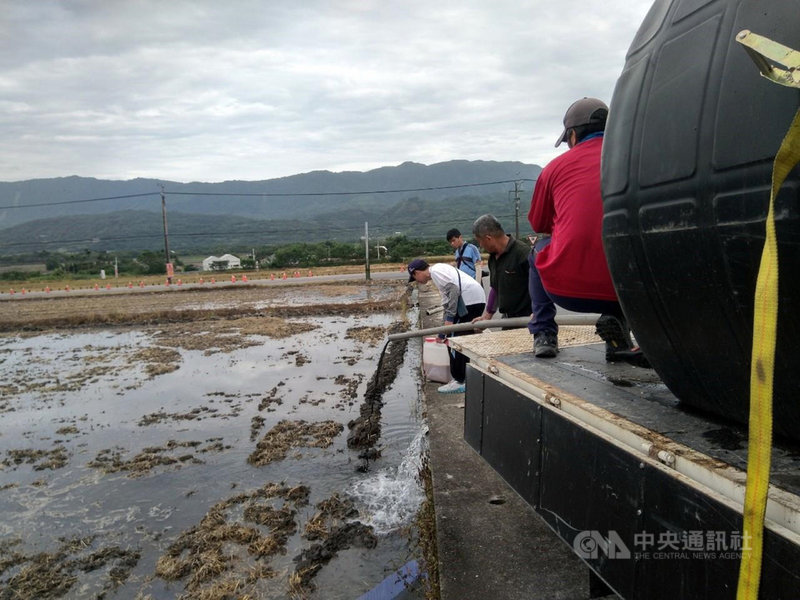 台東區農業改良場研究畜牧產生的沼液和沼渣,可加速稻草稈腐化,每年可減少605公噸沼渣和沼液排入河川造成污染,環保單位鼓勵民眾多利用。(台東縣政府提供)中央社記者盧太城台東傳真 109年8月25日