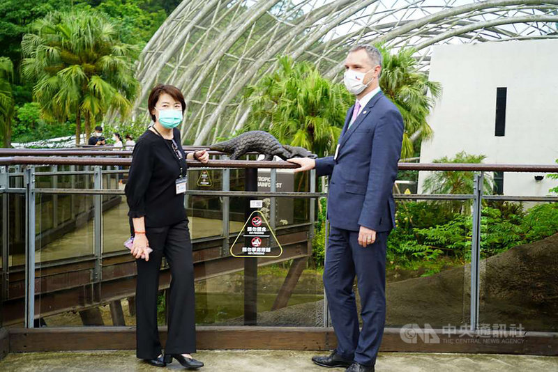 捷克首都布拉格市長賀瑞普(右)31日下午結束國立政治大學參訪行程後,轉往台北市立動物園參觀,期間剛好看到穿山甲進食,讓賀瑞普相當開心。(台北市政府提供)中央社記者李宛諭傳真 109年8月31日