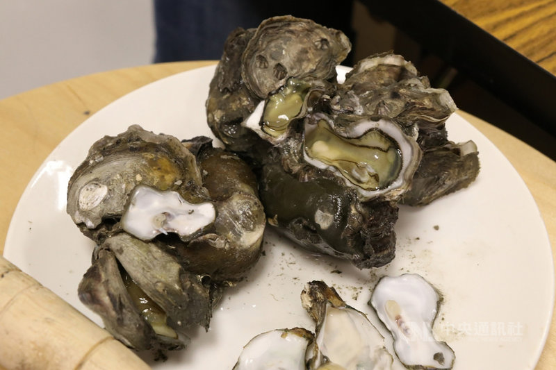 彰化縣環保聯盟8日在記者會中展示7日自鹿港洋仔厝溪出海口撿拾的野生石蚵,指石蚵顏色已呈現綠色和土黃色,質疑是受重金屬污染,並強調政府應公開中高污染工廠資訊,不要讓彰化縣農漁產有食安疑慮。(環團提供)中央社記者張雄風傳真 109年9月8日