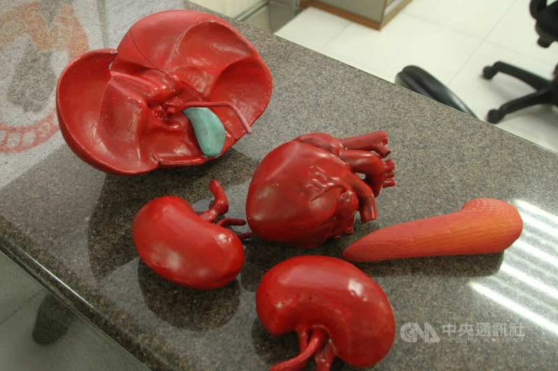 台南奇美醫學中心近年以3D列印仿真模型器官,在器官捐贈手術後放回捐贈者大體內,希望給予捐贈者最大的尊重,也撫慰家屬心靈,至今已完成27例共96個器官。中央社記者楊思瑞攝 109年9月9日