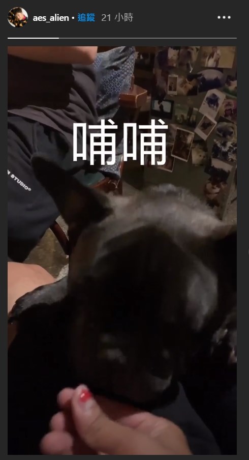 黃鴻升15日下午曾在Instagram限時動態分享黑狗影片,成為他在社群網站上的最後消息。(圖取自黃鴻升IG網頁www.instagram.com)