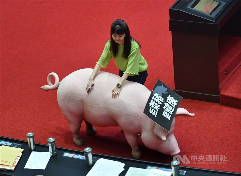政府擬開放含萊克多巴胺美豬、30月齡以上美牛輸台,預計110年生效。立法院18日開議,民進黨立委高嘉瑜(圖)上台質詢時,搬走一旁國民黨立委擺放的道具豬。中央社記者王飛華攝 109年9月18日