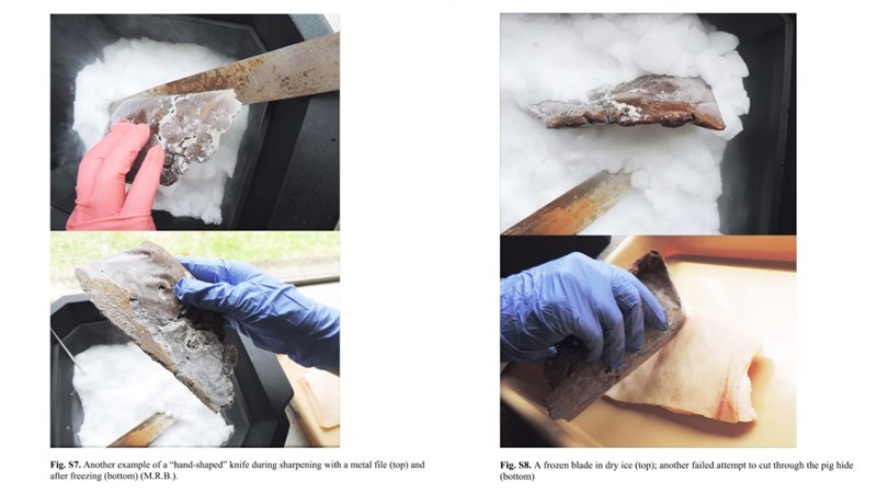 美國人類學者研究拿冷凍人屎製刀切肉,獲頒2020年搞笑諾貝爾獎。(圖取自Improbable Research YouTube頻道網頁)