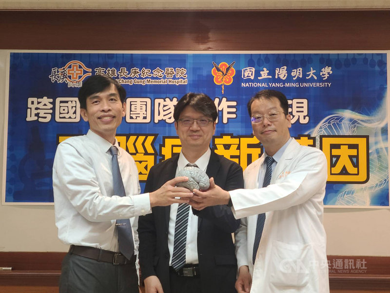 長庚、陽明研究團隊耗時多年,找出平腦症致病新基因,助全球12名患者找出病因,登國際期刊。長庚醫院22日上午舉行記者會公布這項研究成果。圖右起為參與研究的高雄長庚醫院腦功能暨癲癇科科主任蔡孟翰、長庚醫院皮膚部部主任鍾文宏、陽明大學腦科學研究所教授兼副研發長蔡金吾。中央社記者張茗喧攝 109年9月22日