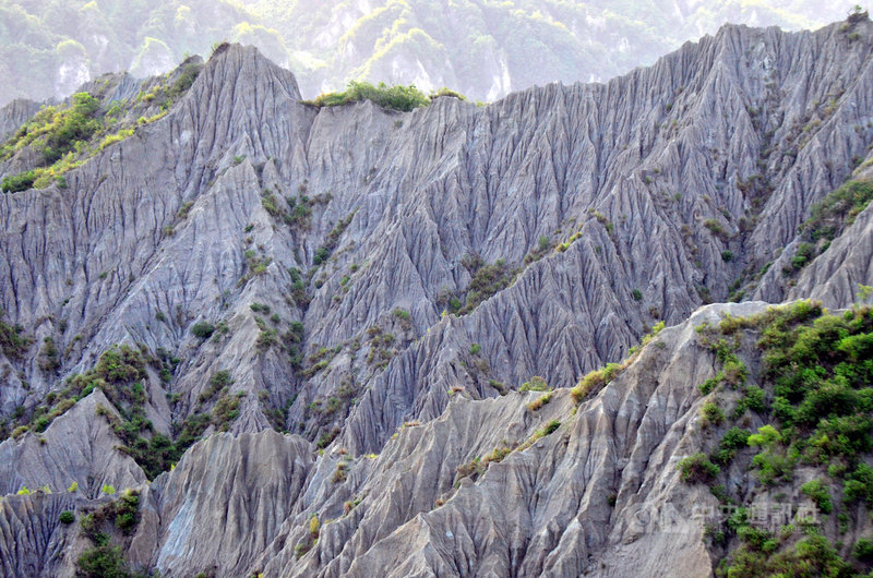 台東利吉惡地位於海岸山脈西側的花東縱谷上,和高雄岡山「月世界」不同,岡山「月世界」是土壤風化和沖刷形成,利吉惡地則是菲律賓板塊和歐亞板塊撞擊後,地殼的泥岩隆起所致。中央社記者盧太城台東攝 109年9月30日