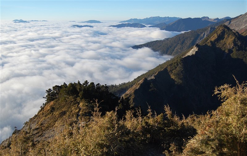 登山達人指出,民眾看到網路上的日出、雲海美照就出發,卻忽略行前準備、天候判斷與警急狀況處理。圖為在百岳之一「關山嶺山」拍攝到的雲海。(圖取自維基共享資源;作者Zilupe,CC BY 2.0)