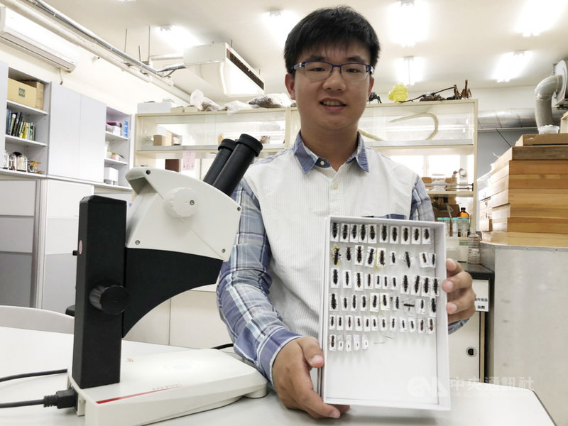 中興大學昆蟲系3年級胡芳碩自小喜愛昆蟲,他透過特殊選才管道入學,2年內和國內外專家學者發表10篇國際論文及6種新種隱翅蟲。中央社記者趙麗妍攝 109年10月22日