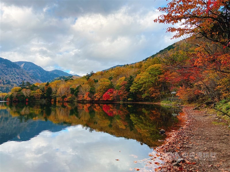 日本栃木縣奧日光湯之湖在入秋後,樹葉慢慢變色,黃、橙、紅色彩交織,渲染出秋天的景緻。(讀者JongJong Tzai提供)