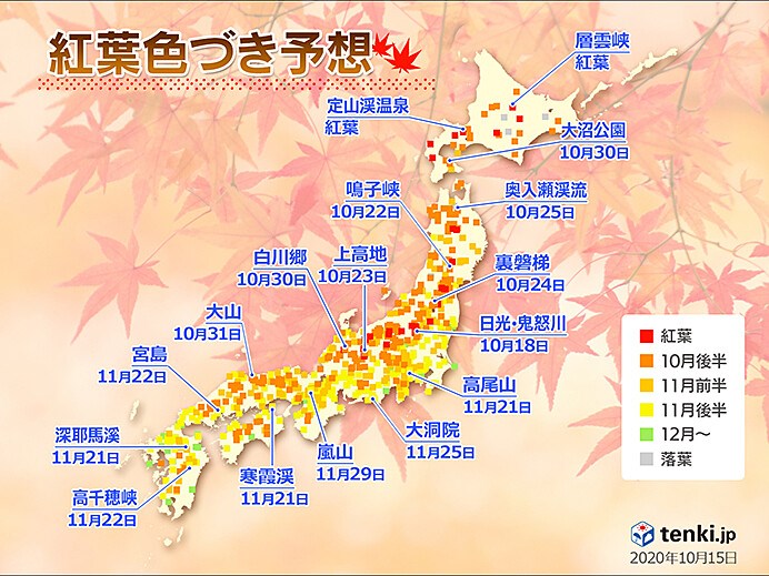 根據日本氣象協會,北海道、東北等地已經陸續進入賞楓時期。(圖取自日本氣象協會網頁tenki.jp)