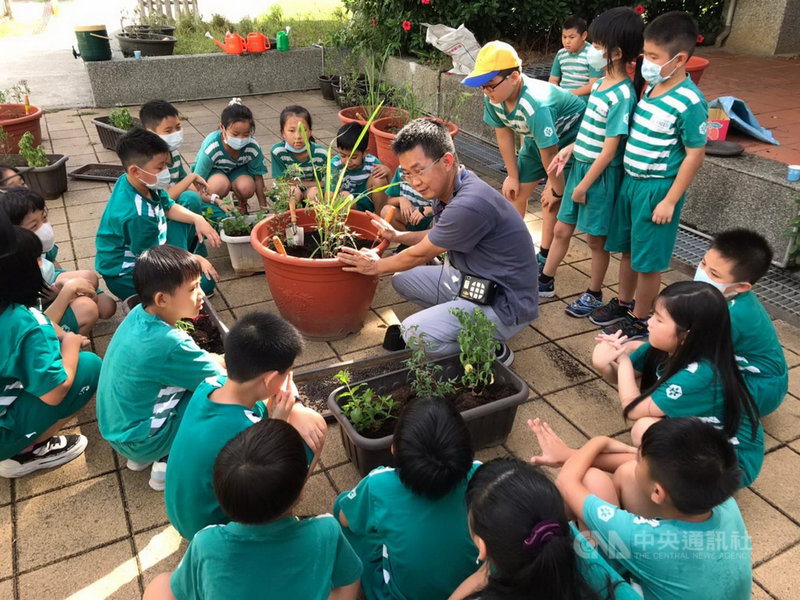 新北市教育局推動學校食農教育,淡水國小師生記錄種植香草植物,融入藝術教育,體驗人與食物、人與土地的豐富關係。(新北市淡水國小提供)中央社記者黃旭昇新北傳真 109年11月2日