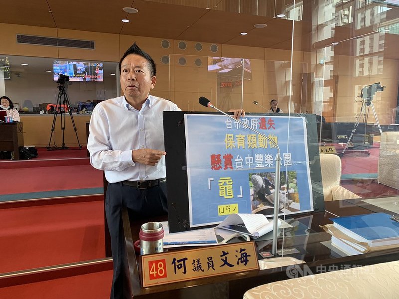 民進黨籍台中市議員何文海4日指出,南屯區豐樂雕塑公園2年前發現1隻二級保育類動物「黿」,近日傳出遷移,他想要懇親卻遲無下文,質疑市府丟失黿,並發出「尋黿啟事」祭出新台幣10萬元獎金。(何文海提供)中央社記者趙麗妍傳真 109年11月4日