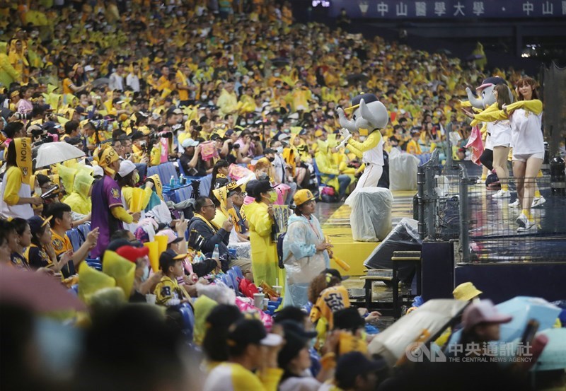 中職31年7戰4勝制台灣大賽7日在台中洲際棒球場進行關鍵第6戰,中信兄弟隊球迷持續為球隊加油,盼兄弟順利奪勝封王,在主場拋下黃色彩帶。中央社記者張新偉攝 109年11月7日