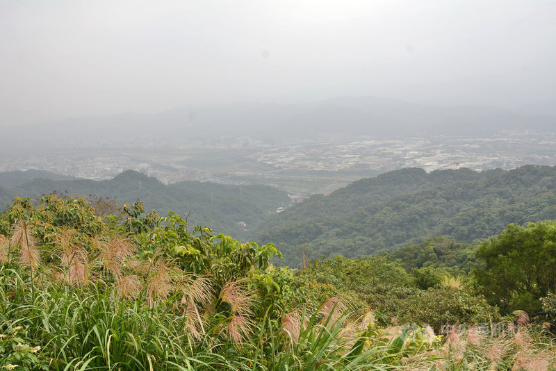 位於新北市樹林區的石灰坑山步道,海拔雖然不高,但無論是俯瞰三峽、樹林、鶯歌,或蜿蜒大漢溪與三峽河,抑或眺望林口台地等,皆可擁有180度的極佳視野。圖為109年11月3日自步道高處遠眺大台北。中央社記者黃旭昇新北市攝 109年11月7日