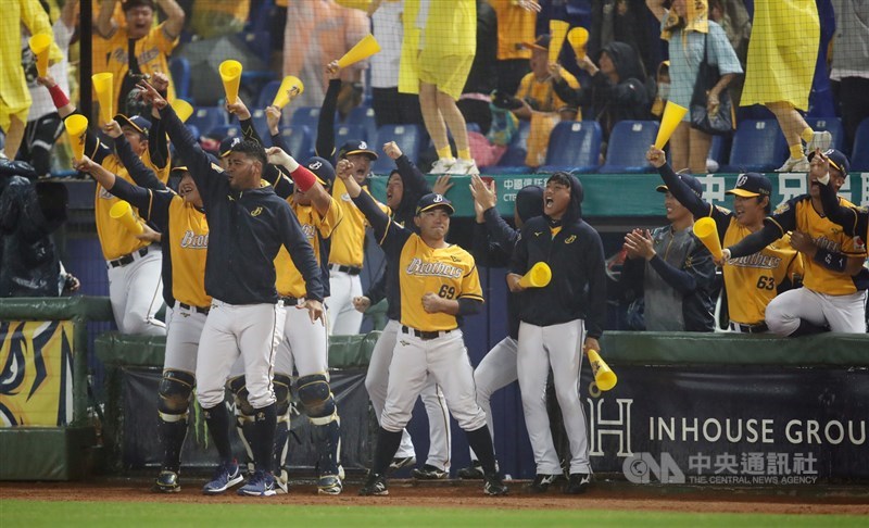 中職7戰4勝制台灣大賽7日在台中洲際球場進行關鍵第6戰,3局下半,中信兄弟隊在落後狀態下成功追回1分,休息區隊友嗨翻。中央社記者張新偉攝 109年11月7日