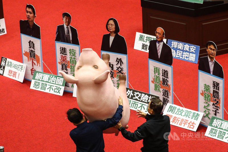 因不滿行政院長蘇貞昌未對政府放寬含萊劑美豬進口道歉，10日國民黨團立委搬道具豬到議場內，持續杯葛議事，不讓蘇貞昌上台報告。中央社記者王騰毅攝 109年11月10日