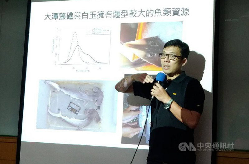 搶救大潭藻礁行動聯盟10日舉辦「開發第三天然氣接收站嚴重威脅大潭藻礁魚類多樣性 研究登上國際學術期刊」記者會;東海大學生命科學系、環境與生態研究中心副教授溫國彰說明調查研究內容。中央社記者張雄風攝 109年11月10日