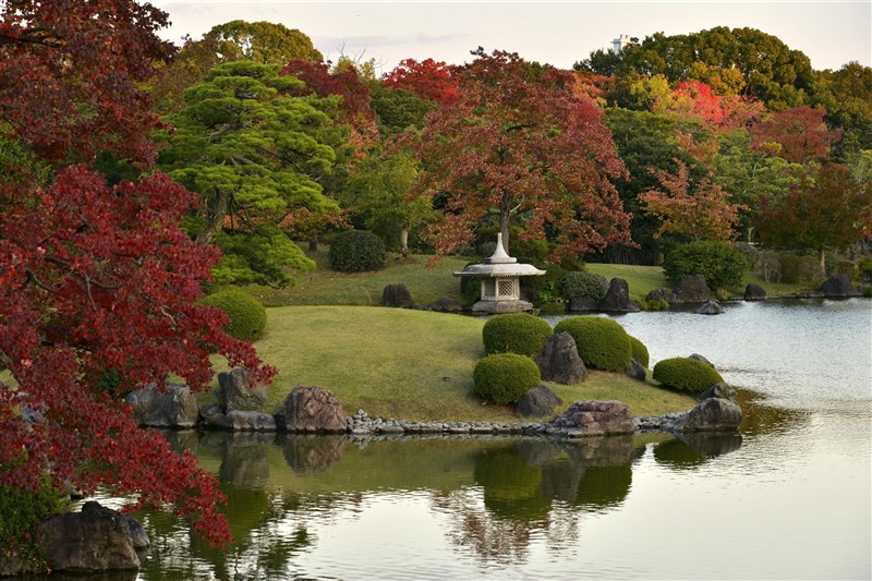 大阪萬博記念公園進入賞楓季,日式庭園紅葉點點。(共同社)