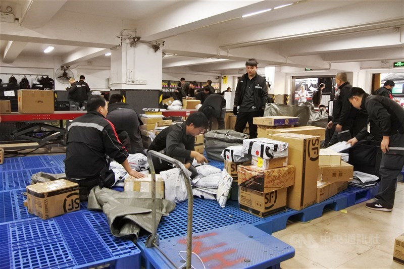 雙11購物節期間,中國大陸快遞量預計達10億件,雖有科技協助分貨揀貨,送貨人員仍不免增加工作量。圖為中國大陸順豐快遞的工作人員。(資料照片)中央社記者張淑伶上海攝 106年11月10日