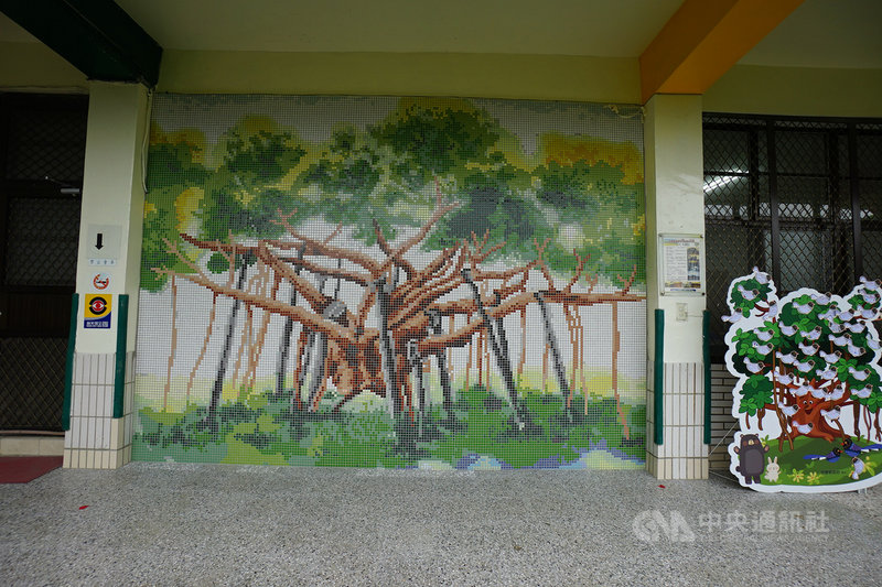 花蓮月眉國小90多歲老榕樹根部切除重生師生祈福 地方 中央社cna