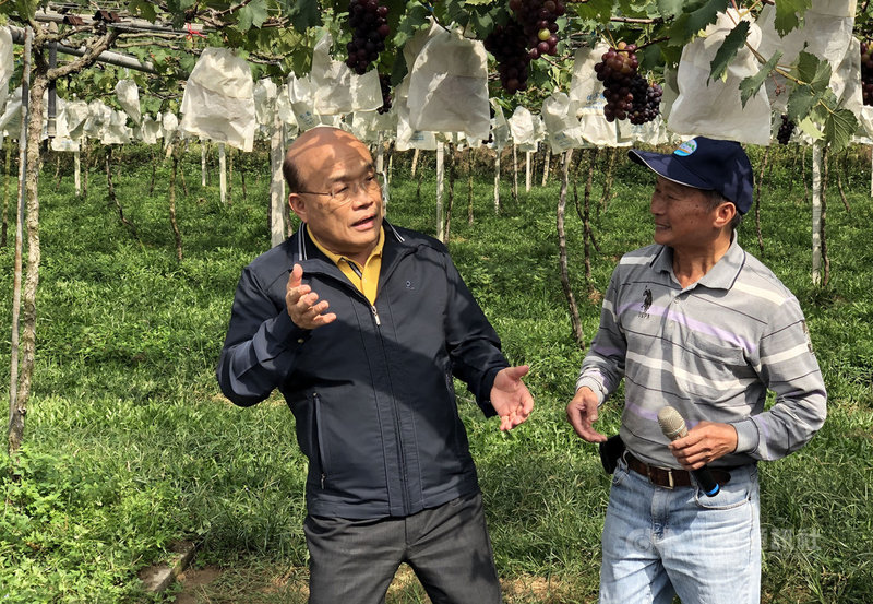 行政院長蘇貞昌(左)15日到南投縣草屯鎮視察擴大灌溉服務推動情形,蘇貞昌前往一處葡萄園,果農向蘇貞昌反映最近灌溉用水不足問題,蘇貞昌承諾會解決用水問題。中央社記者吳哲豪南投攝 109年11月15日