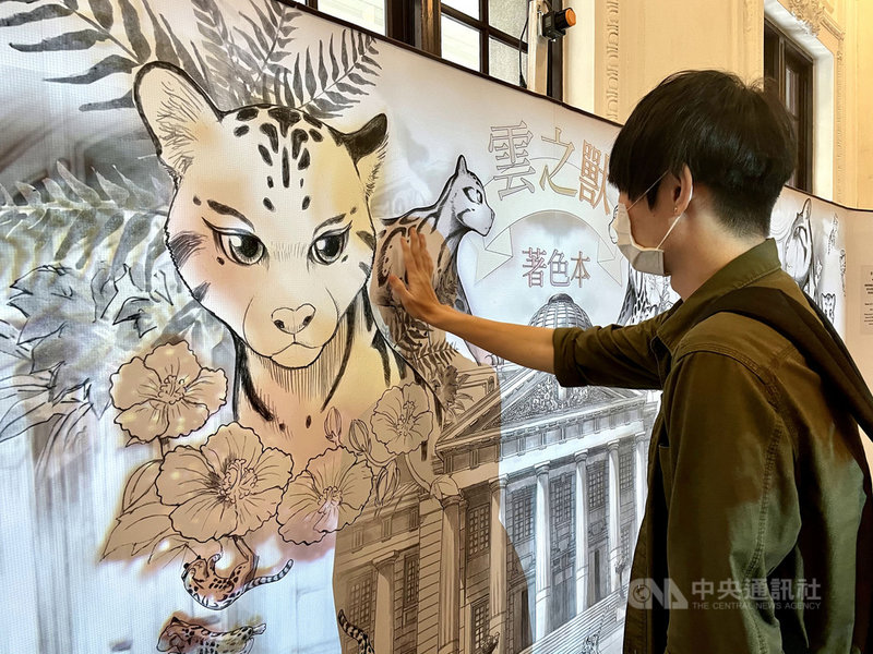 國立台灣博物館規劃「漫筆臺博」微型展,精選30幅漫畫家漢寶包的手稿,並設計「雲之獸著色本」多媒體互動裝置。觀眾觸摸展板的漫畫線稿時,即可感應彩繪上色,體驗漫畫家創作情境。中央社記者葉冠吟攝 109年11月16日