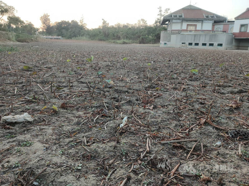 金門縣自來水廠16日表示,統計到11月初,金門地區今年降雨量僅只有446毫米,評估全島13座湖庫目前蓄水量僅總量的一半,呼籲民眾一起省水抗旱。(民眾提供)中央社記者黃慧敏傳真 109年11月16日