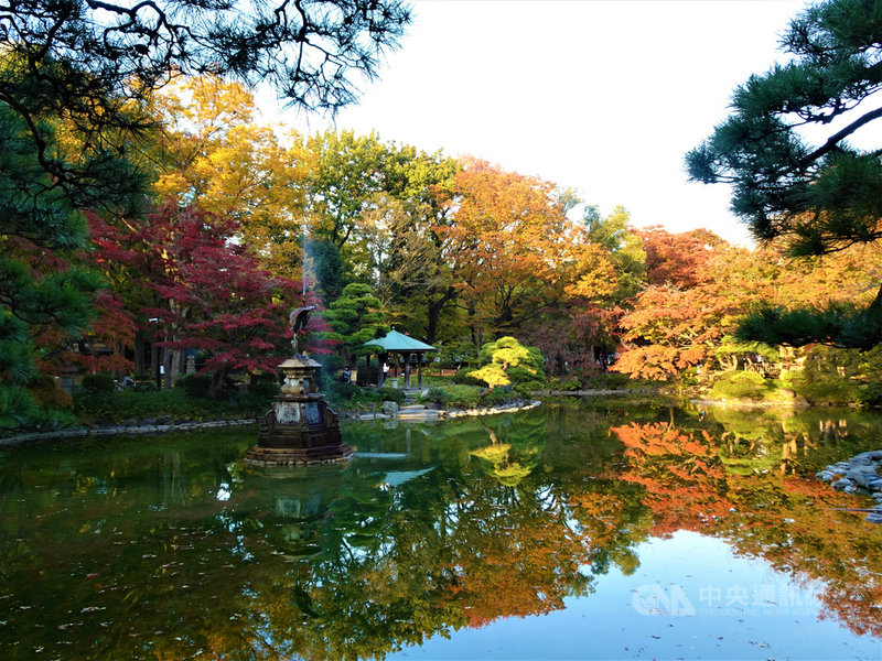周邊有很多官廳和高樓大廈的東京日比谷公園可說是大都市水泥叢林中的綠洲,現在銀杏、紅楓正美。中央社記者楊明珠東京攝 109年11月17日