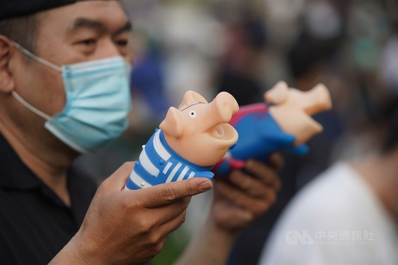 「秋鬥」遊行22日下午登場,遊行隊伍抵達終點民進黨部外,民眾手持玩具豬隻,抗議政府將開放含萊克多巴胺(瘦肉精)美豬進口。中央社記者徐肇昌攝 109年11月22日