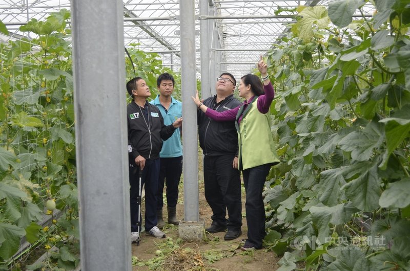農業用地上興建開放性溫網室，是否要申請建照，各縣市政府做法不一，民進黨立委蔡易餘（右2）向農委會反映，要求說明。農糧署函文指出，無密閉式外牆，屬開放性生產設施的溫網室，免申請建築執照。中央社記者蔡智明攝  109年12月8日