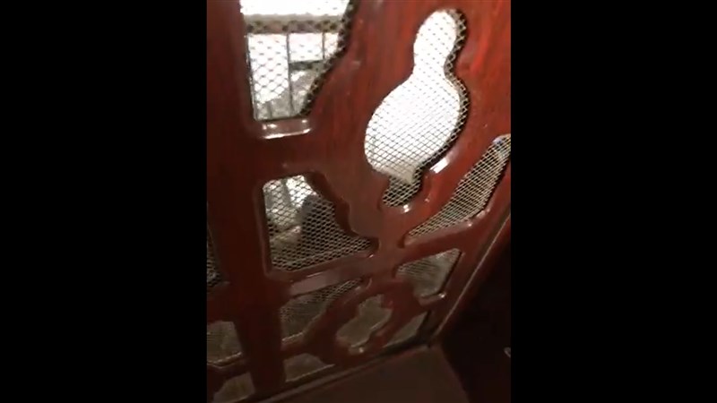 許艷接受德國之聲訪問時表示,9日清晨6時20分左右,她開門想送兒子上學,門口卻站著3名北京市的國保(國內安全保衛),表明不讓她出門。(圖取自twitter.com/xuyan709)