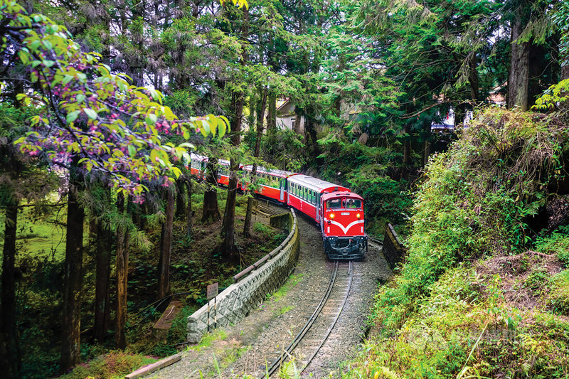 英國電視節目「世界最美麗的鐵道旅行(World's Most Scenic Railway Journeys)」與交通部觀光局合作,到台灣拍鐵道旅遊專輯,將拍台鐵花蓮-台北段、台北- 嘉義段及阿里山森林火車3軸線。(交通部觀光局提供)中央社記者汪淑芬傳真 109年12月15日