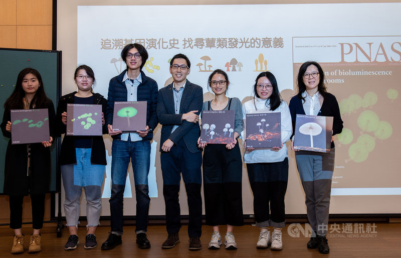 蕈類為什麼會發光始終是演化學家好奇的問題，中研院生物多樣性研究中心副研究員蔡怡陞的研究團隊，採集台灣4種發光以及1種不具發光的物種，並解序其基因體，推估蕈類最早的發光基因簇始於1.6億年前，且目前仍有發光者是因繁衍需求。（中研院提供）中央社記者吳欣紜傳真 109年12月15日