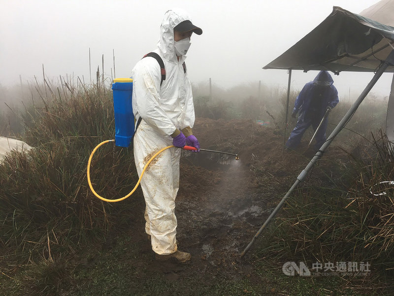 陽明山擎天崗近期發生多起野放牛隻死亡事件,台北市動保處已與獸醫師及學者組跨領域團體,並採集包含10 隻牛檢體、牛隻活動區域水源及可疑植物送驗,也針對牛屍發現區域及機具進行防疫性消毒。(台北市動保處提供)中央社記者劉建邦傳真 109年12月19日