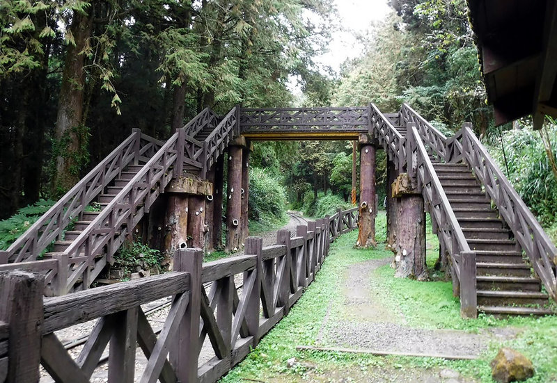 阿里山塔山步道施工延至110年1 4起封閉 生活 中央社cna