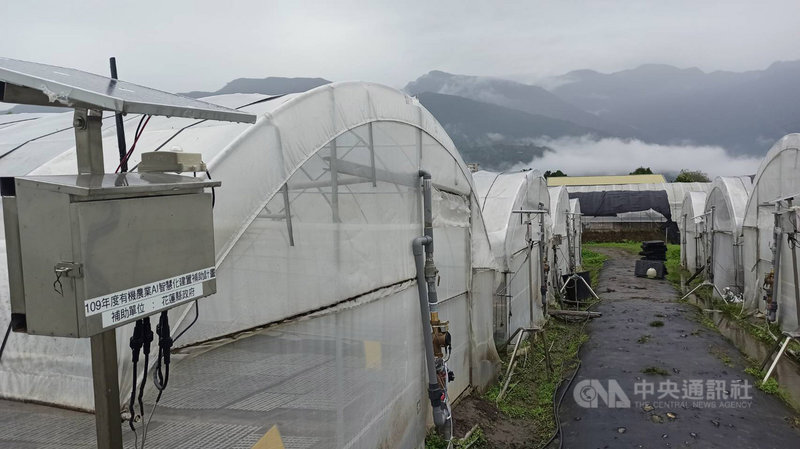 花蓮以有機農業稱冠全台,縣府積極推動導入AI智慧化設備,借重學界科技及農政單位的協助,建置數個場域,提升農產品的品質與產量。中央社記者李先鳳攝 109年12月23日