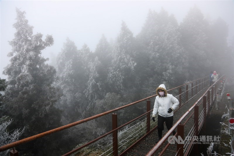 入冬首波寒流報到,宜蘭縣太平山國家森林遊樂區沿線道路31日結滿霧淞,銀白美景吸引遊客做足保暖禦寒準備,上山開心賞景。中央社記者王騰毅攝 109年12月31日