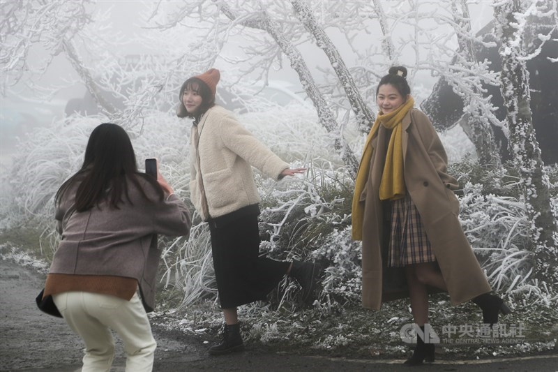 寒流來襲,宜蘭縣太平山國家森林遊樂區沿線山林結滿霧淞,銀白景致吸引許多遊客拍照留念。中央社記者王騰毅攝 109年12月31日