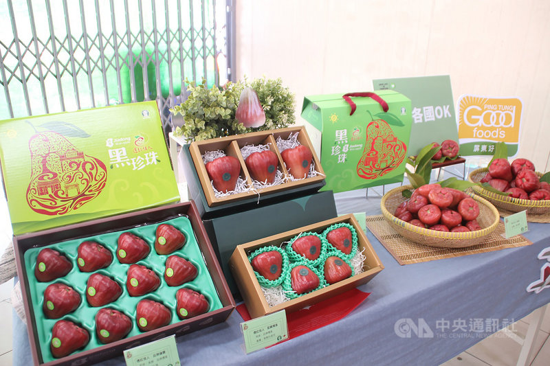 屏東縣佳冬鄉農會以蓮霧品牌「透紅佳人」打進香港通路,從民國109年12月起已空運外銷香港多次,未來還將外銷加拿大及越南。(屏東縣政府提供)中央社記者郭芷瑄傳真 110年1月4日
