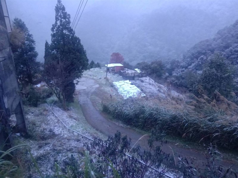 寒流來襲,拉拉山8日凌晨開始飄雪,部分樹林及道路被雪霜覆蓋。(桃園市觀旅局提供)中央社記者葉臻傳真 110年1月8日