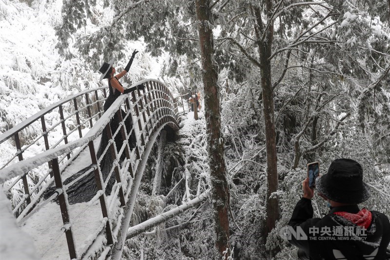 寒流來襲,海拔約1900公尺高的太平山國家森林遊樂區7日晚間起下雪,8日見晴古道一片雪白,化身銀白世界,吸引許多遊客上山賞雪拍照。中央社記者吳家昇攝 110年1月8日