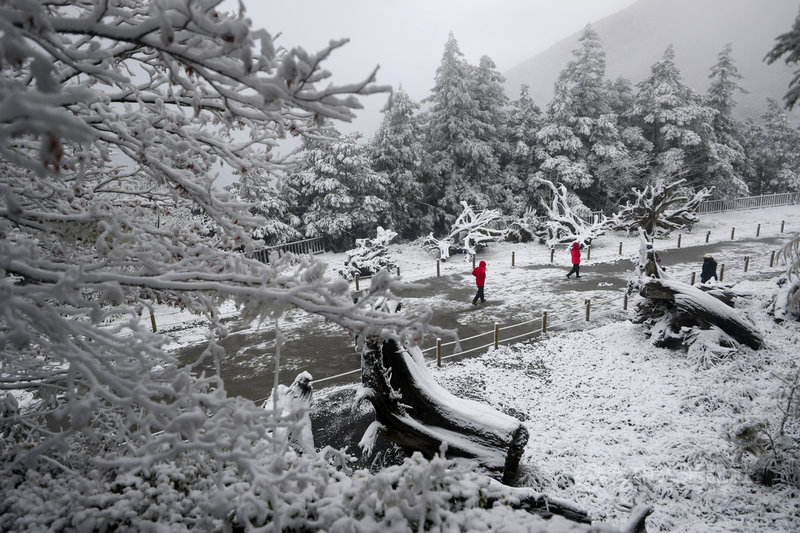 寒流襲台,太平山國家森林遊樂區7日晚間陸續下雪,太平山莊一帶山頭逐漸轉白,8日一早遊客穿梭在銀色世界賞雪。中央社記者王騰毅攝 110年1月8日