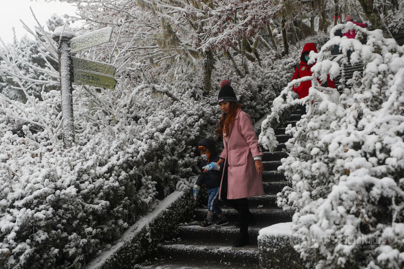 寒流襲台,太平山國家森林遊樂區7日晚間陸續下雪,一夜過後,成銀白世界,8日遊客開心在園區賞雪。中央社記者王騰毅攝 110年1月8日