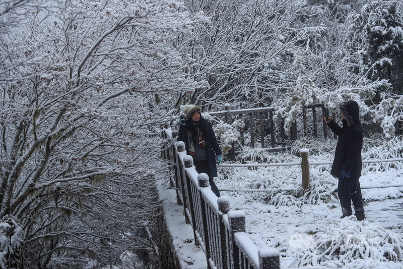 寒流來襲,宜蘭太平山國家森林遊樂區7日晚間開始降雪,8日清晨樹枝上皆有積雪,宛如銀白世界,民眾趕緊拍照留念。中央社記者吳家昇攝 110年1月8日
