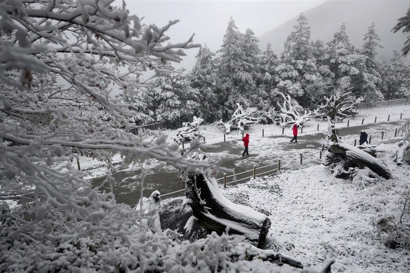 太平山莊一帶下雪,山頭逐漸轉白,8日一早遊客穿梭在銀色世界賞雪。中央社記者王騰毅攝 110年1月8日