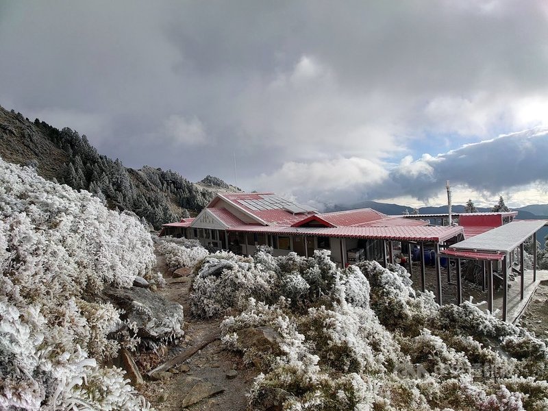 寒流來襲,嘉明湖步道因溼度不夠未降雪,不過樹上結上一層厚厚的霜羽,雪白的山頭一樣美麗。(嘉明湖熊出沒企業社提供)中央社記者盧太城台東傳真 110年1月9日